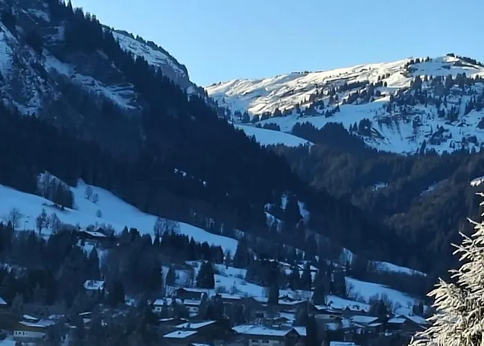 Joly Story Apartment